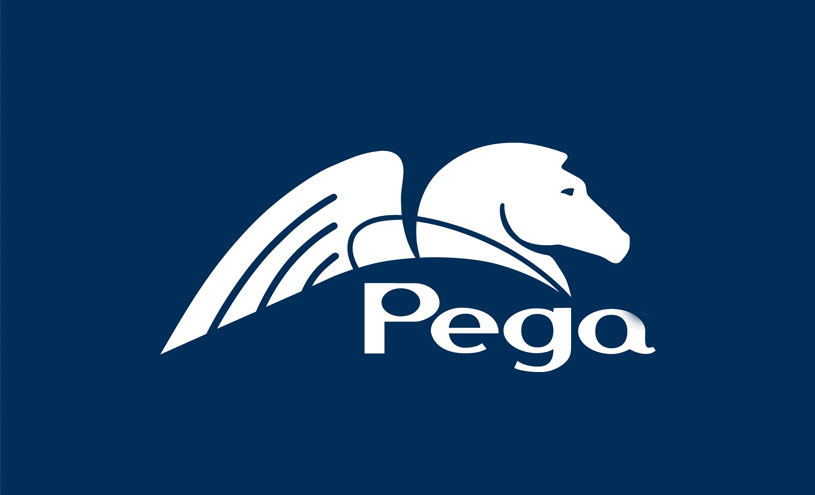 Pegasystems New Client