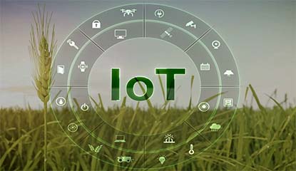 Green IoT-What is It and How will it Affect Us?