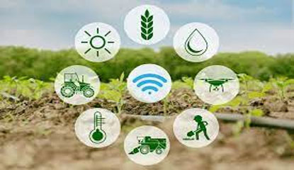 Top IoT Startups in Agriculture Sector