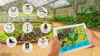 Top 5 Sensors Used in Smart Farming