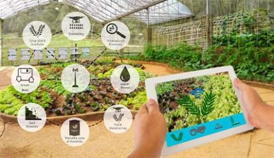 Top 5 Sensors Used in Smart Farming