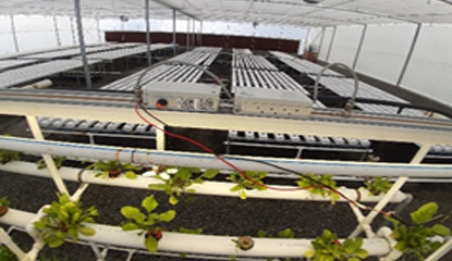 Exploring New Opportunities & Possibilities in the Agriculture Sector with IoT-based Sensors