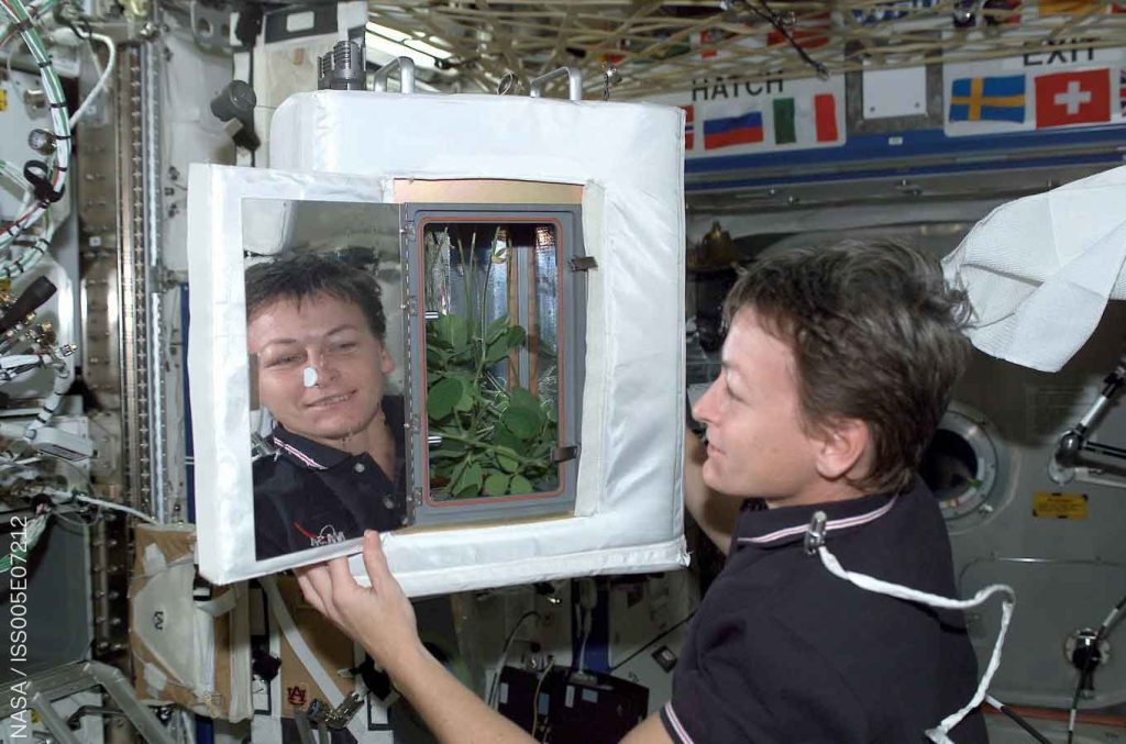 Figure 06 - NASA astronaut Peggy Whitson