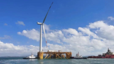 Deep-Sea Floating Wind & Marine Ranching Project Completed