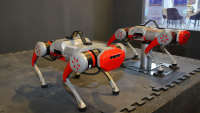 Addverb Pioneers the Future of Robotics with Newly Launched Products